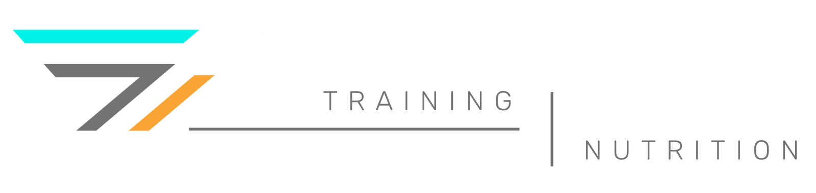 Fast Forward Training